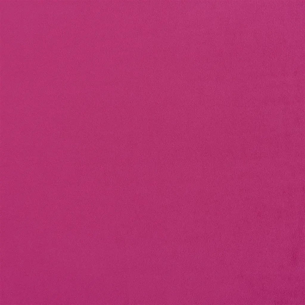 trentino - magenta