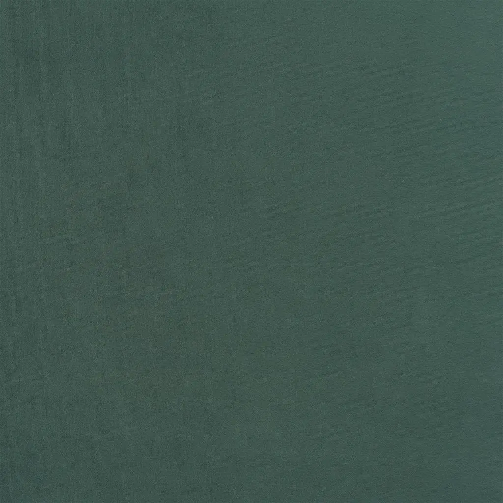 trentino - fir