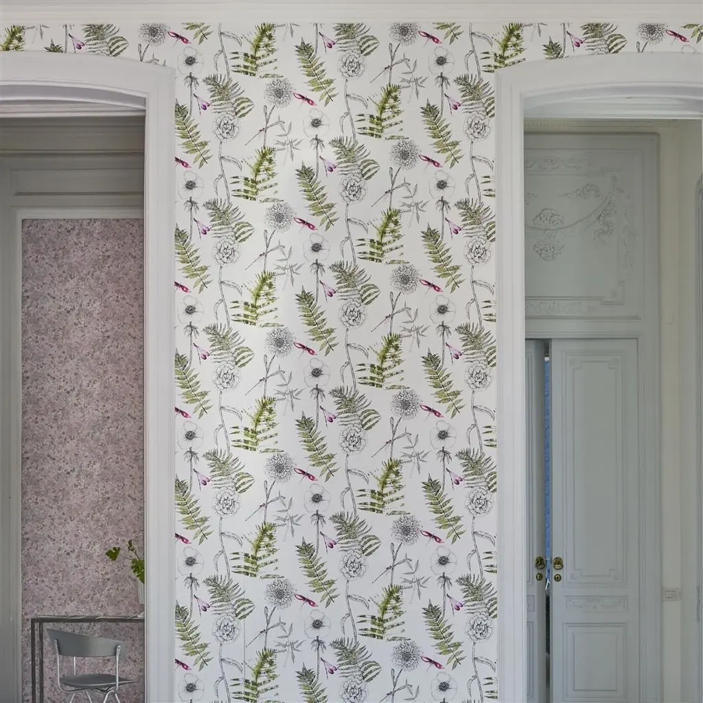 Acanthus Moss