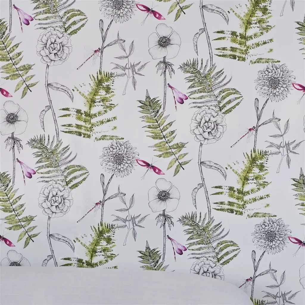 Acanthus Moss