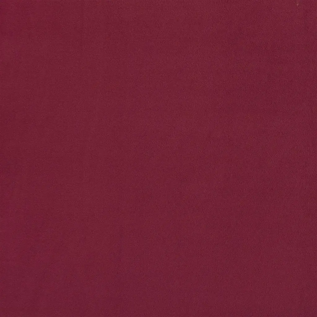 trentino - mulberry