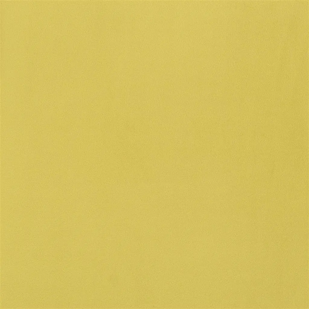 trentino - alchemilla