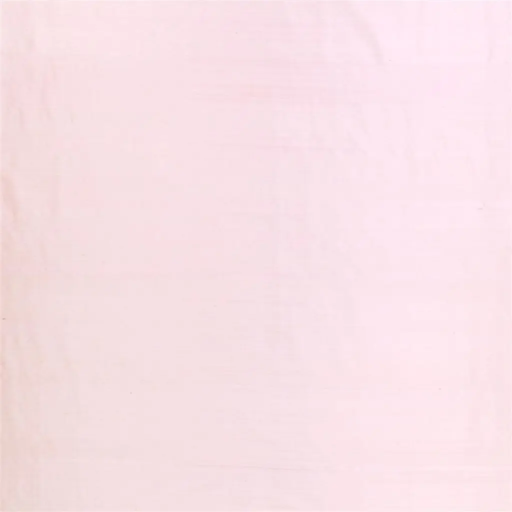 Chinon - Pale Rose - Cutting