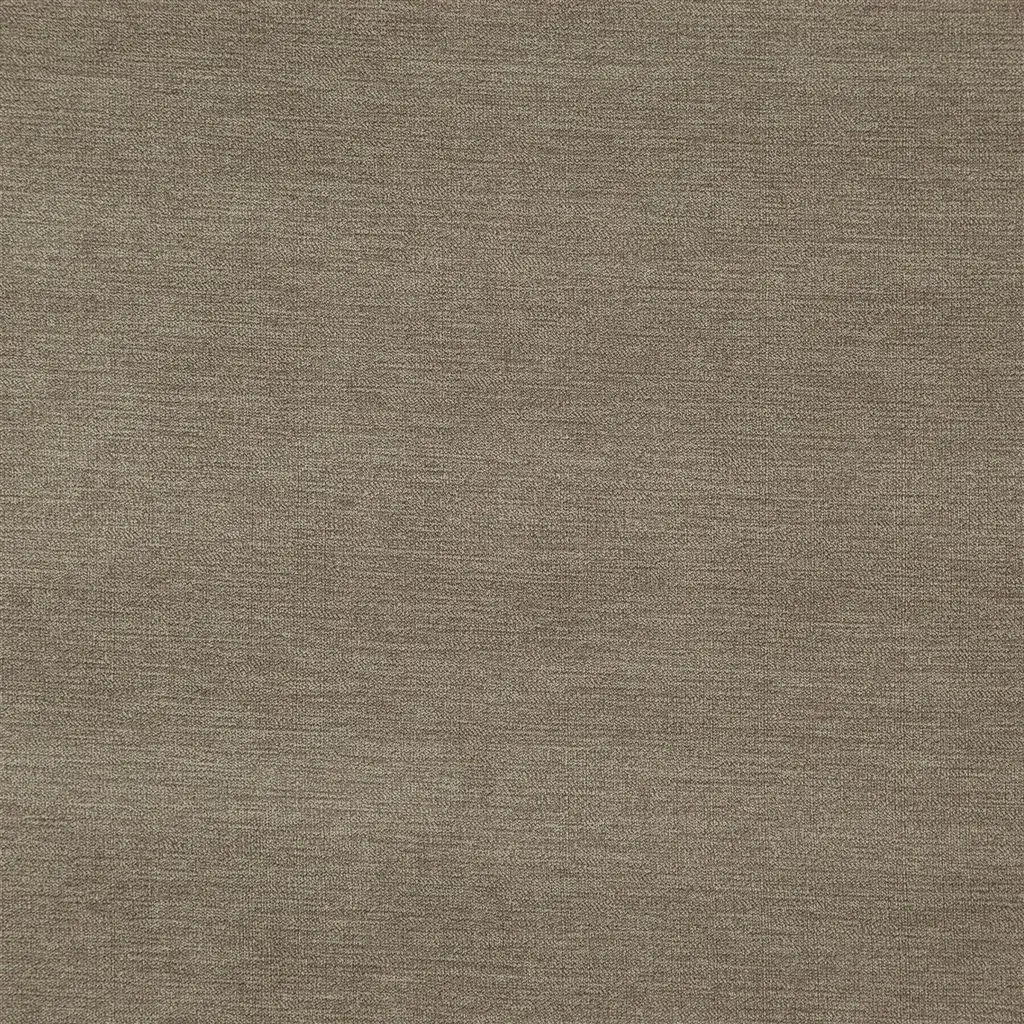 lorton - acorn