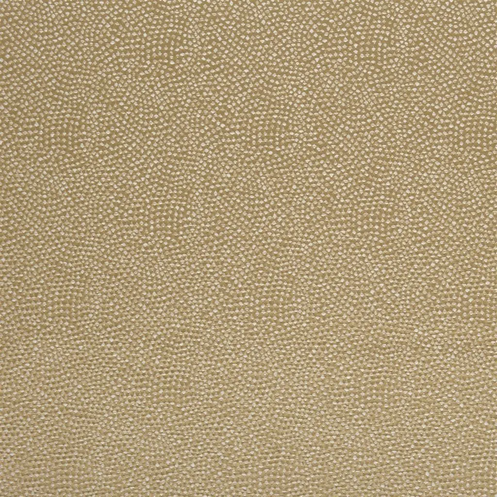 sesia - olive