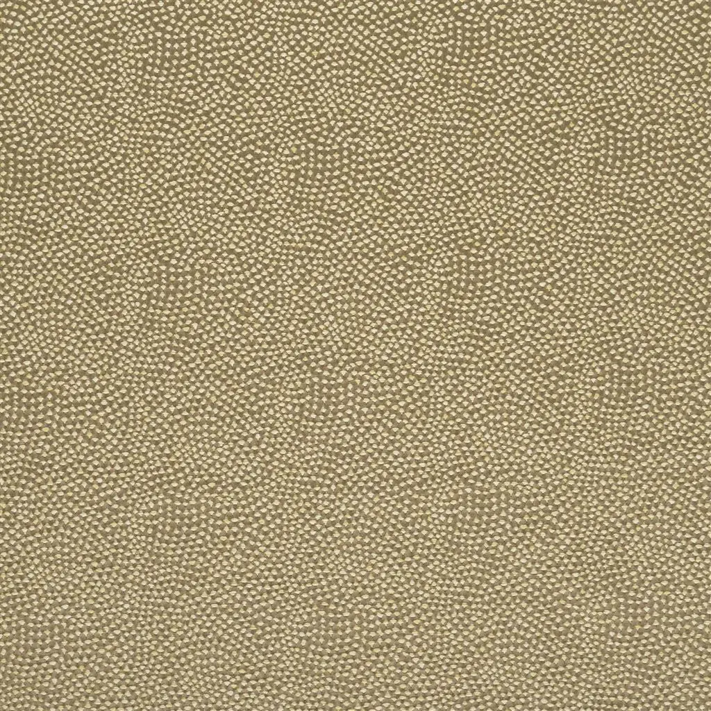 sesia - fern