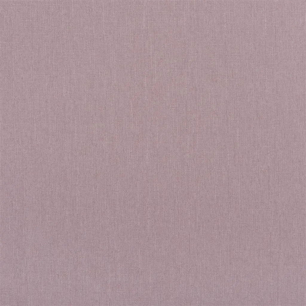 spinelli - dewberry