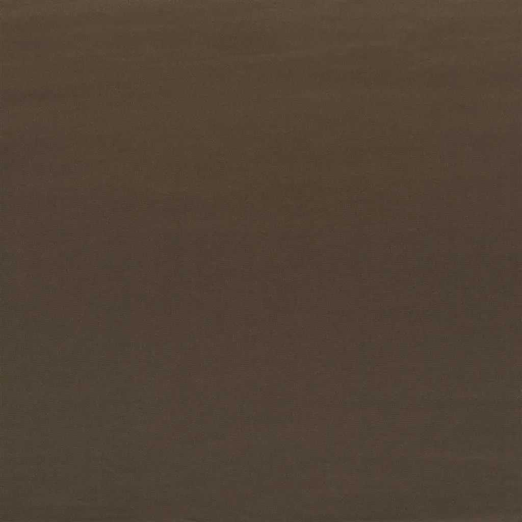 tizzoro - beech