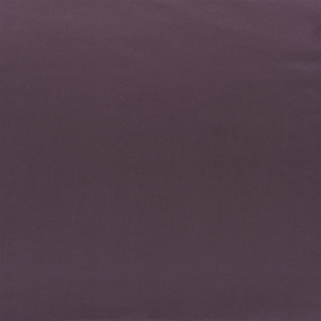 tizzoro alta - plum