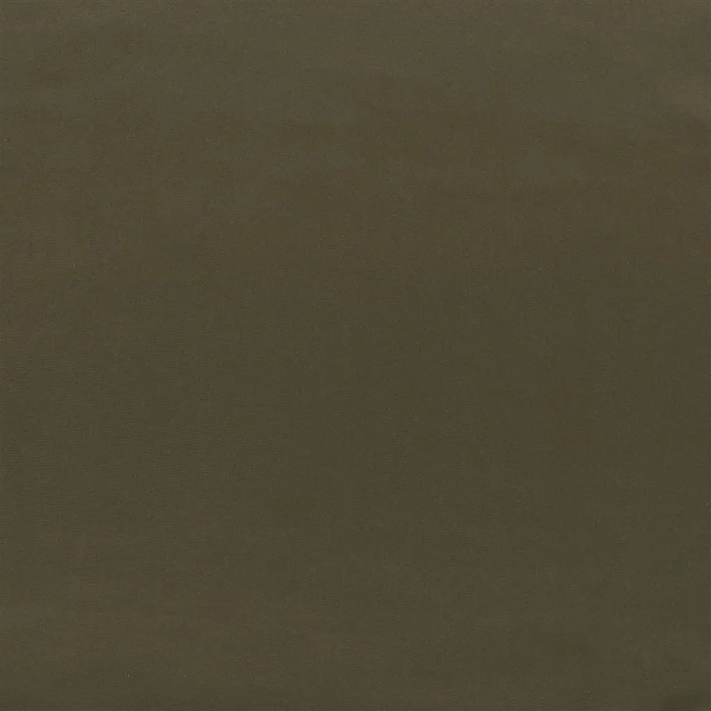tizzoro - olive