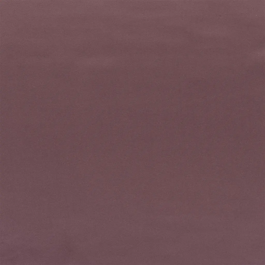 tizzoro - dewberry