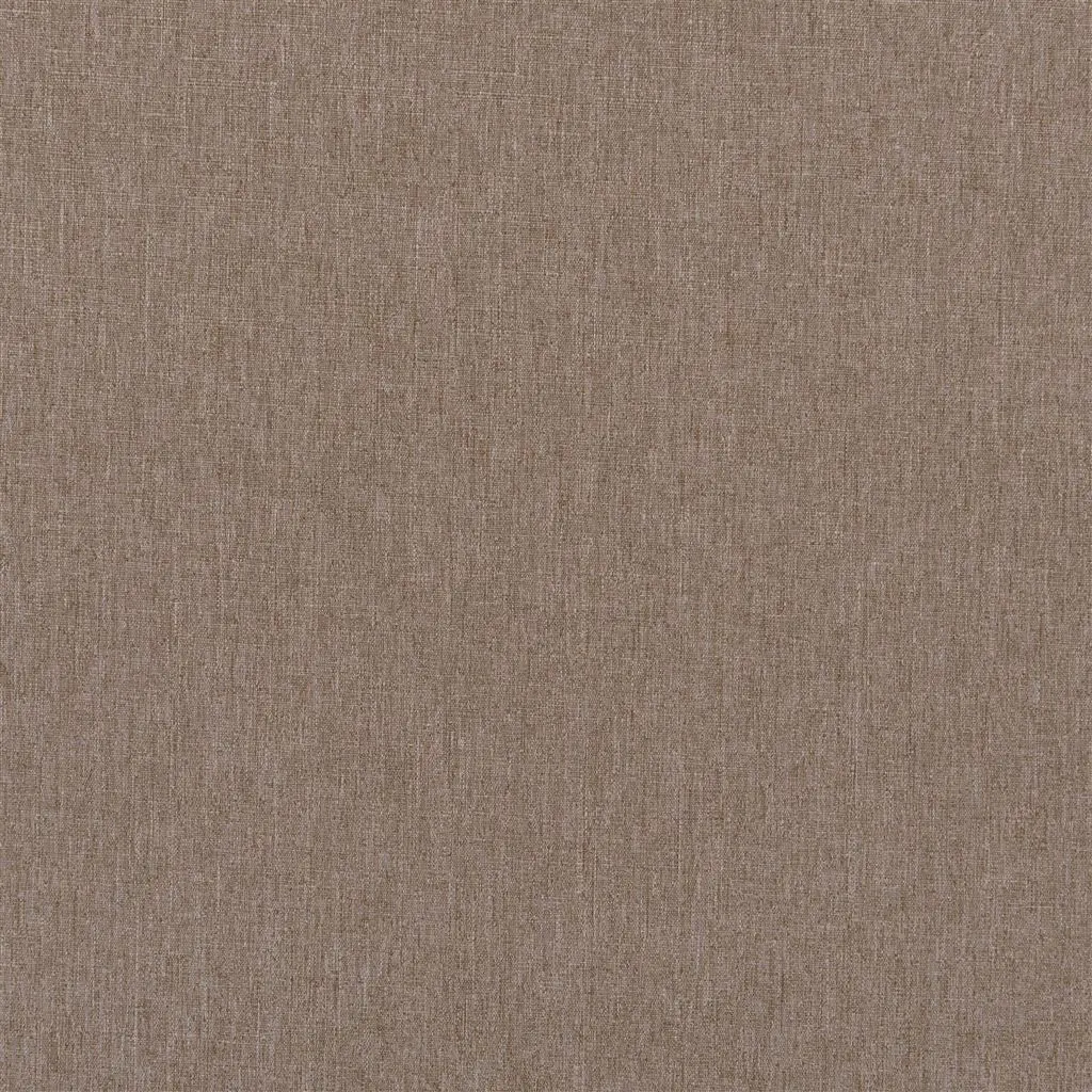 spinelli - moleskin