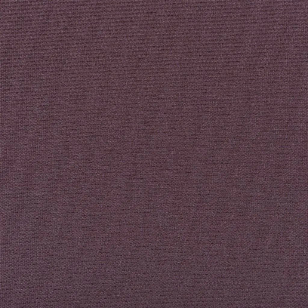 belloni - plum