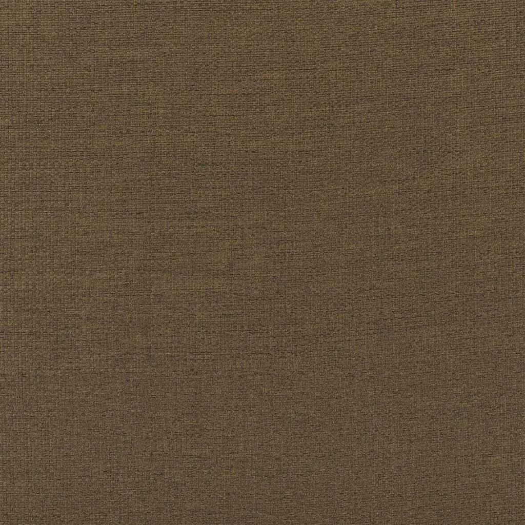 belloni - beech