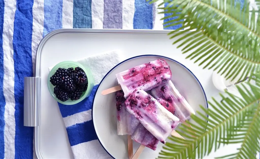 Coconut & blackberry ice lollies                                      