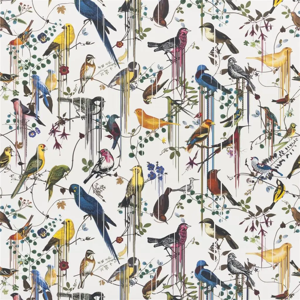 birds sinfonia - perce neige