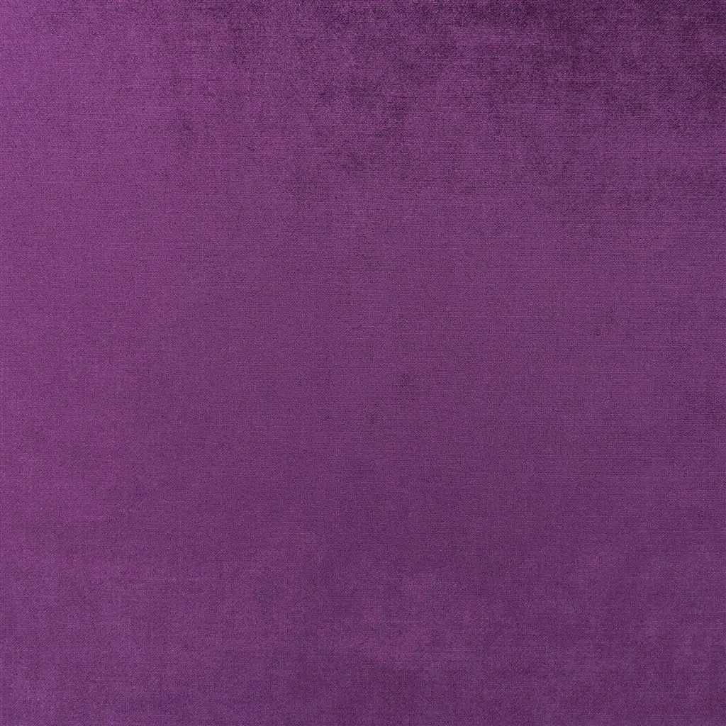 vicenza - plum