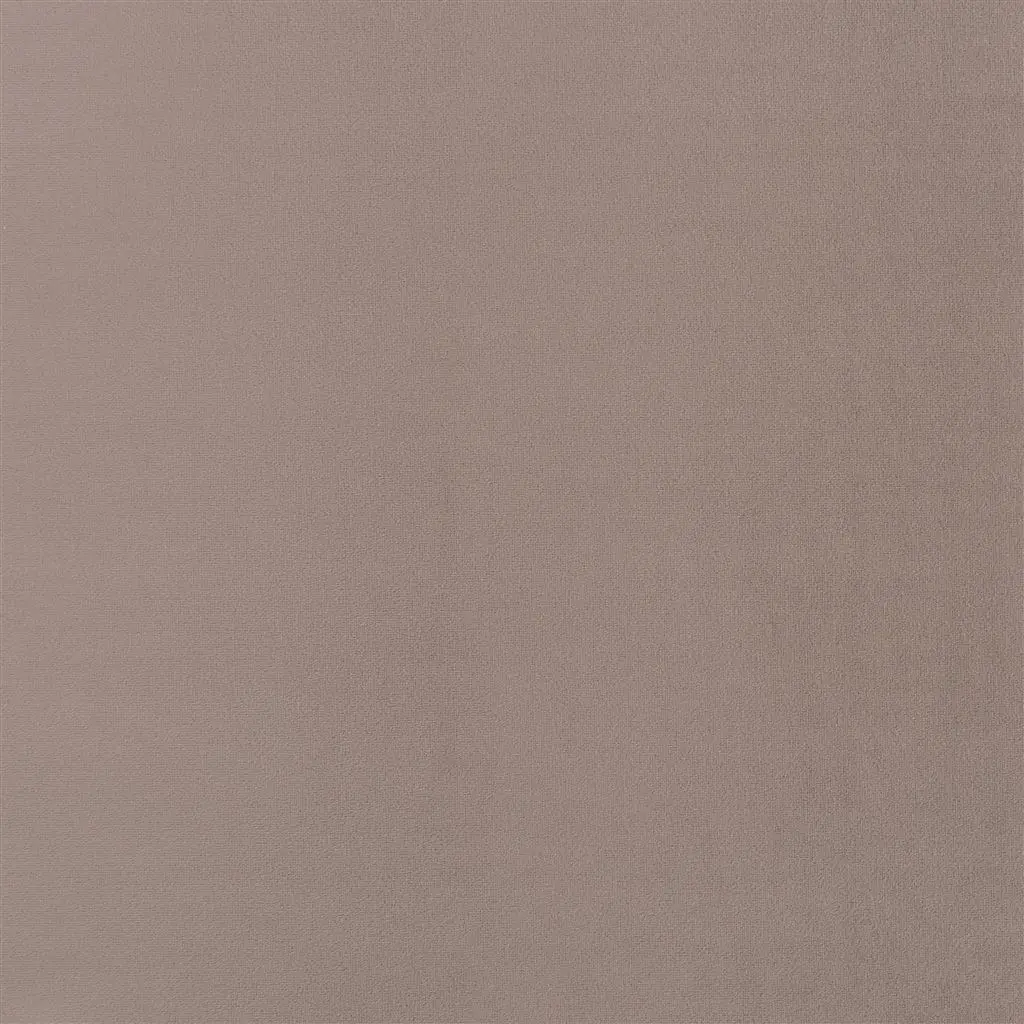 trentino stretto - moleskin