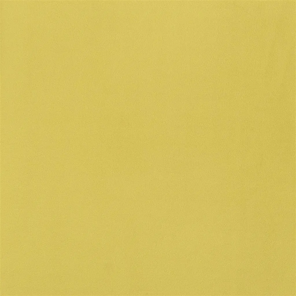 trentino stretto - alchemilla