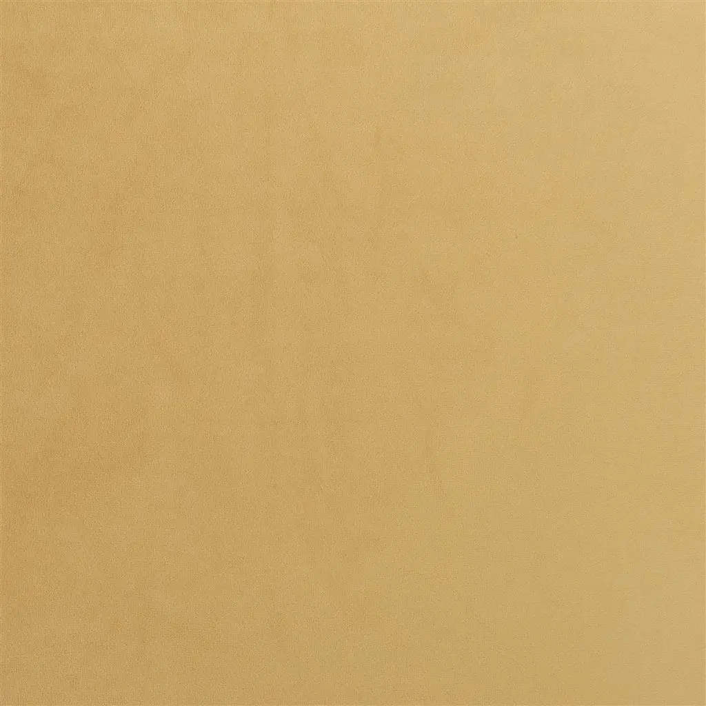 trentino stretto - ochre