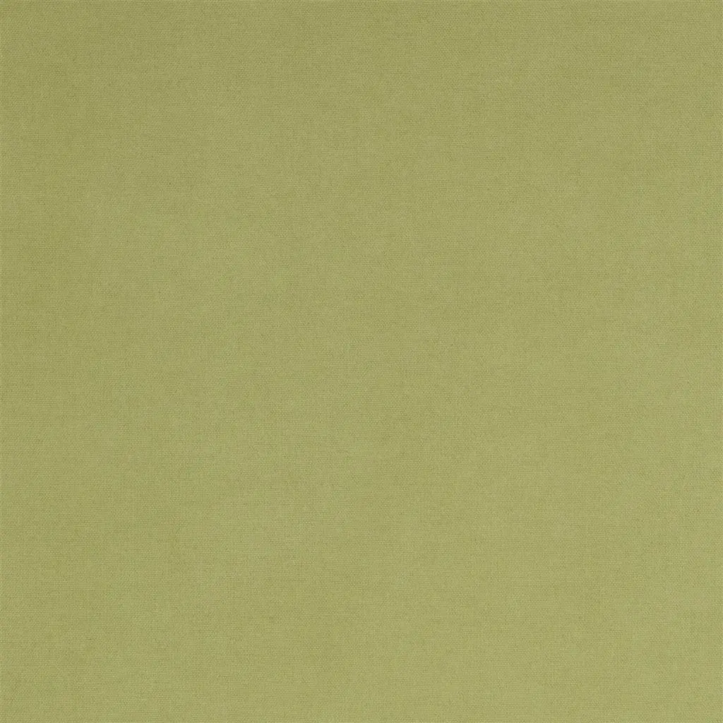 Madrid - Olive