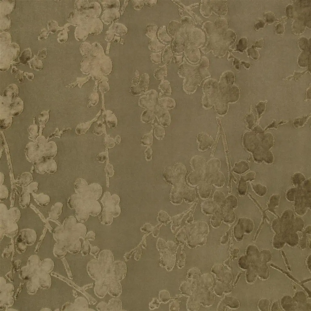 Kibushi - Cappuccino Cutting