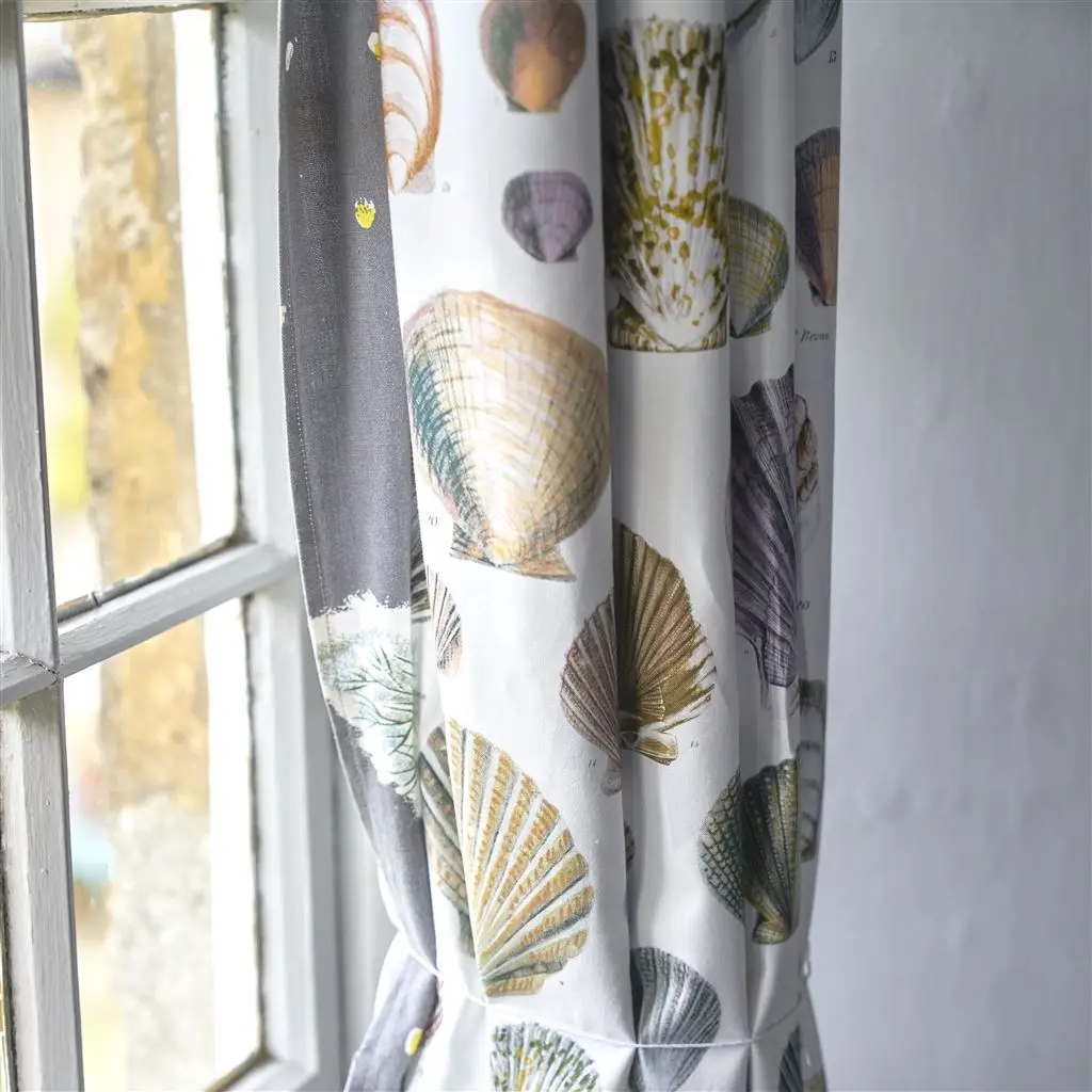Captain Thomas Browns Shells Sepia Fabric John Derian