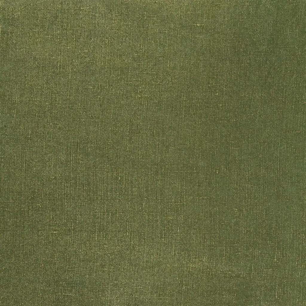 Tsuga - Fern Cutting