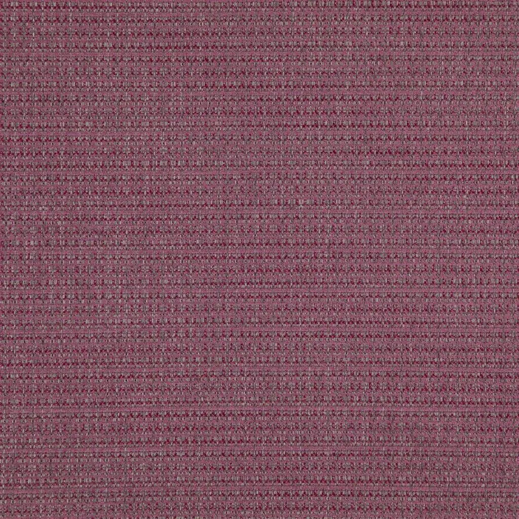 newton - magenta