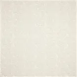 Turtle Cove Shell Sheer Oyster