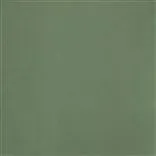 Satinato - Basil Cutting
