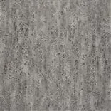 Shirakawa Graphite
