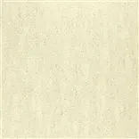 Shirakawa Ivory