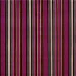 Varese Caruveni - Fuchsia