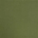 Ivyside Herringbone Moss