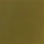 Calozzo Olive