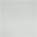 Calozzo - Platinum