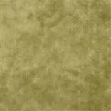 moyarta - olive