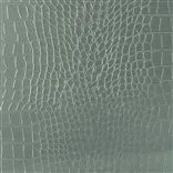 raddery - platinum