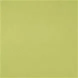 santiago - pistachio