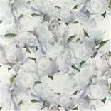 Peonia Ivory