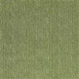 Pompano Outdoor Grass