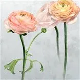 Tourangelle Scene 1 Peony Large Sample