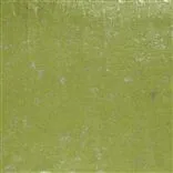 papilo - moss
