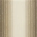 forster - driftwood