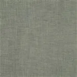 Trevisina Teal