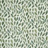 Leaf Specimens - Thyme Cutting