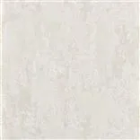 ajanta - ivory