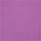 Brera Lino - Crocus Cutting
