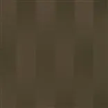 foyle - cocoa